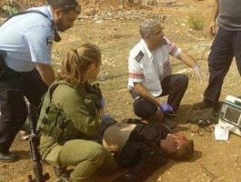 13552547_1797324943831346_823410684_n