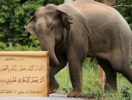 untitled-png-87368184561910688