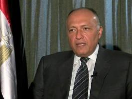 شكري يبحث مع نظيره الياباني تطورات القضية الفلسطينية.jpg