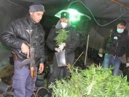الشرطة تضبط مخدرات بقيمة 60 مليون شيكل