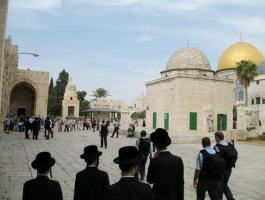 مستوطنون يجددون اقتحامهم للمسجد الأقصى