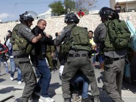 الاحتلال يعتقل مزارع من أرضه ويمنع عدد آخر من جني 