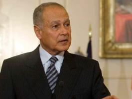 أبو الغيط يدعو إلى التصدي لمسعى إسرائيل الحصول على مقعد بمجلس الأمن