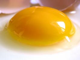 Raw_egg