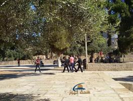 13423948_1186554774754755_8531807704245452521_n