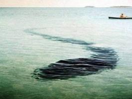 3-331-jpg-116717461951624