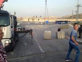 17808_911864188890483_3681019095475253541_n