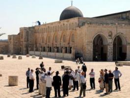 14 مستوطناً يقتحمون المسجد الأقصى