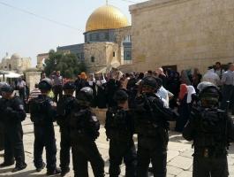 a1438689882_520726659