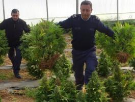 مخدرات1-600x330