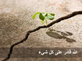 هل ربنا عز وجل قادر أن يخلق كل شيء ؟ 