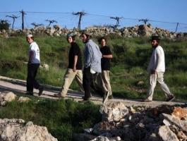 عشرات المستوطنين يقيمون خياماً في الأغوار الشمالية