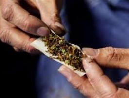 الشرطة تضبط