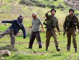 مستوطنون-بحماية-جنود-الاحتلال-يعتدون-على-المواطنين-660x330