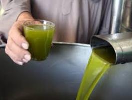 الزيت