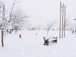 عاصفة ثلجية