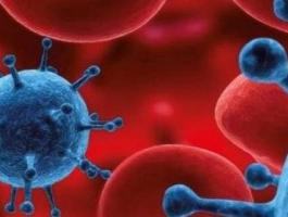 cancer-6_333391_large