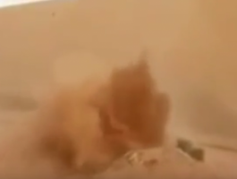 png-01064601537819553