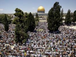 11174372002364393078530233463606