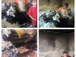 13329867_565864023574820_537838243_n