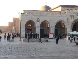القدس: الاحتلال يوقف أعمال ترميم الجامع القبلي ويعتقل موظفي الأوقاف الإسلامية