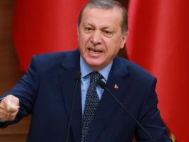 أردوغان: سلطات 