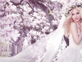 Beautiful-Bride-Woman-Wallpaper-High-Res-Photos--980x498