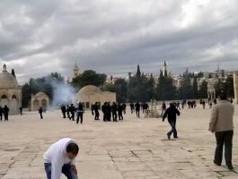 هيئة تحذر من مخطط حركة صهيونية لهدم المسجد الأقصى وإقامة الهيكل على أنقاضه