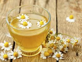 Chamomile-tea-kills-cancer-cells