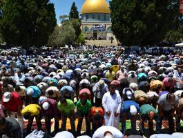 463b3477d0d0aa8dbe4dedc1c4104174