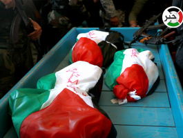 13162529_10207712874313080_998975260_n