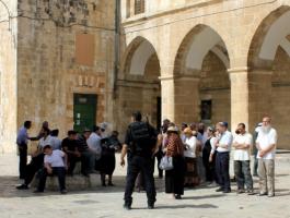 24ce8ba94197a7b275c85d41c7ce103b