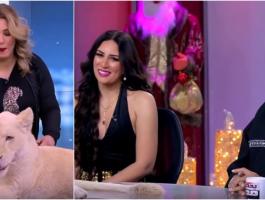 رد فعل سمير غانم وإيمي سلطان بعد أنْ فاجأهما أسدٌ في الاستديو!