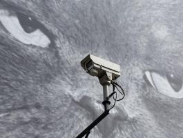 استخدام عجيب لتسجيلات كاميرات المراقبة في الصين