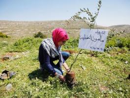 نشطاء ومتضامنون يزرعون أشتالا في أراضي الخضر إحياء ليوم الأرض.jpg
