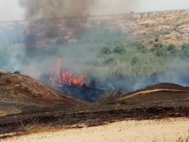 بالفيديو والصور: حرائق بمستوطنات محاذية لـ