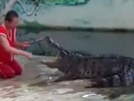 insane-moment-a-zookeeper-places-his-head-inside-a-huge-crocodiles-mouth-before-being-savaged-1-jpg-53238951441205129.jpg