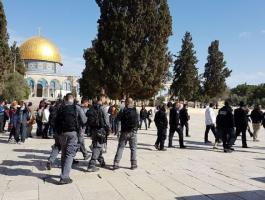 35 مستوطناً يقتحمون المسجد الأقصى.jpg