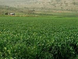 أهالي قرى القدس يطالبون ببيئة خالية من التلوث.jpg