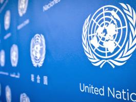 تعيين بيرنل كاردل منسقة خاصة للامم المتحدة في لبنان