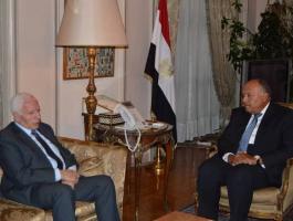 تفاصيل لقاء وزير الخارجية المصري مع عزام الأحمد بالقاهرة