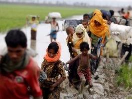 الأمم المتحدة توقعات بفرار 300 ألف من مسلمى الروهينجا بسبب العنف بميانمار.jpg