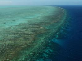 اليونسكو قلقة على الحاجز المرجاني