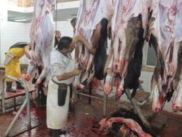 eab7eed1-a0b6-4d92-8cb6-41c269a7dd61