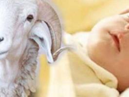 ما هي شروط العقيقة في الإسلام ؟