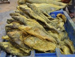 df8a59298c92df5e4813c199e3d006f4