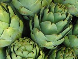 artichokes-980x490