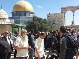 3.14653233771572301488