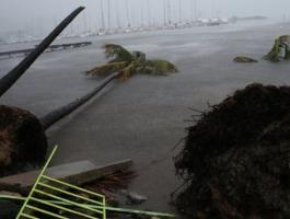 إعصار إيرما قد يسبب خسائر اقتصادية تصل إلى 200 مليار$.jpg