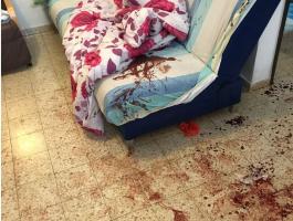 الاحتلال ينشر تفاصيل مثيرة عن عملية 